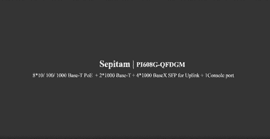 Sepitam-PI608G-QFDGM